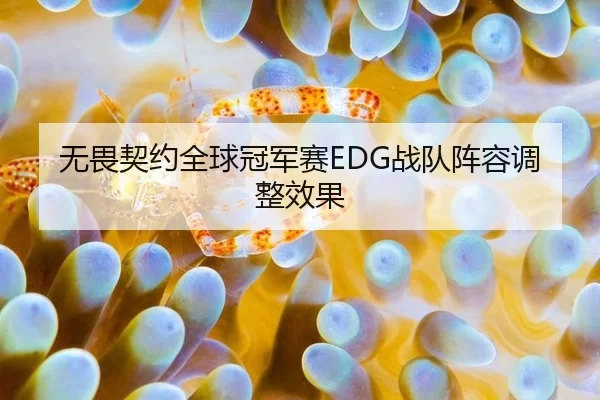 无畏契约全球冠军赛EDG战队阵容调整效果